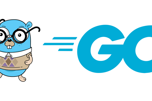 Golang Gopher teaching Go