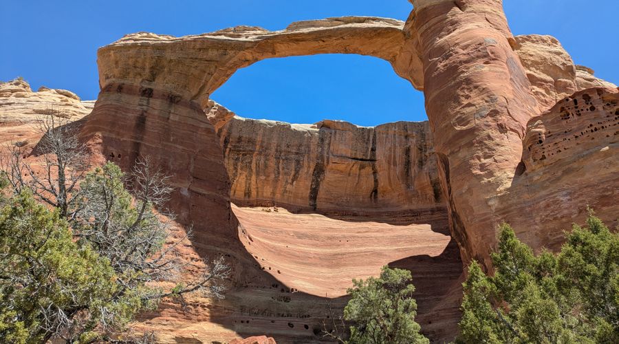 Rattlesnake Arches, western Colorado